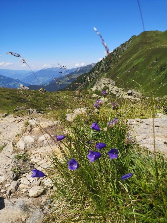 Ferienwohnungen Fichtenheim Mayrhofen Exterior foto